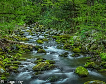 Smoky Mountains National Park Forest Stream Poster Spring Green Rocks and Moss Smokies Fine Art NC TN Photo Print Canvas Luster or Metal