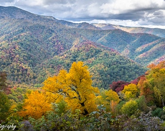 Great Smoky Mountains National Park Fall Print Gatlinburg TN Blue Ridge Parkway Mountain Scene Fall North Carolina Canvas Luster Paper Frame