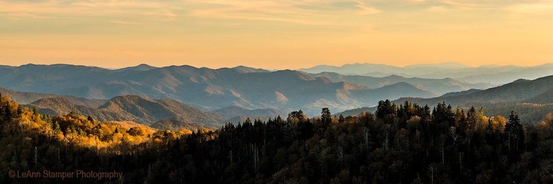 Puede incluir: Una vista panor&aacute;mica de una cordillera con un bosque en primer plano. Las monta&ntilde;as est&aacute;n superpuestas en la distancia, con las monta&ntilde;as m&aacute;s cercanas que aparecen de color verde oscuro y las monta&ntilde;as m&aacute;s lejanas que aparecen de color azul claro. El cielo es de un amarillo p&aacute;lido, lo que sugiere una puesta o una salida de sol.