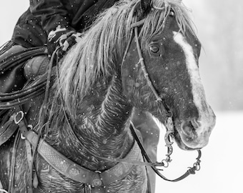 Yellowstone l Montana l Rodeo Cowboy l Horse l Farmhouse Boho Decor l Fine Art Black & White Canvas Print l Cabin Art l Vacation Home Decor