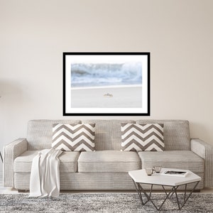 Cangrejo fantasma en la playa Carolina del Norte NC Outer Banks OBX Impresión artística Olas oceánicas costeras Foto sobre lienzo o papel lustre Decoración en tonos neutros imagen 4