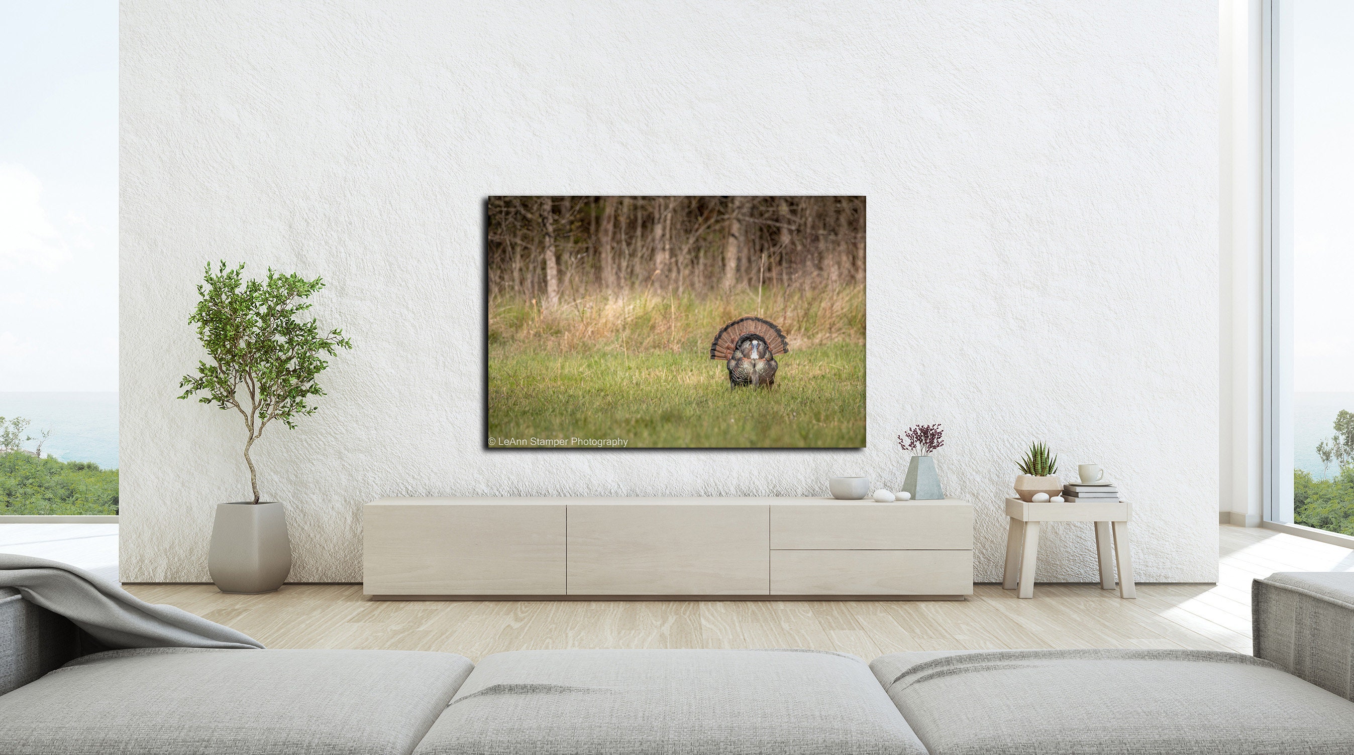 Wild Turkey Spring Strut Great Smoky Mountains National Park Print ...