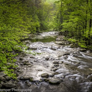 May include: A tranquil stream flows through a lush green forest, with sunlight filtering through the trees. The water is clear and shallow, with smooth, rounded rocks visible at the bottom. The scene is peaceful and serene, with a sense of tranquility.