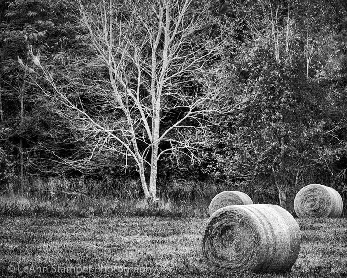 Hay Bales Farm Print Black and White Fine Art Photography Farm - Etsy