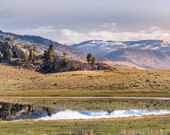 American Bison Herd Print Yellowstone National Park Poster YNP Panoramic Lamar Valley Sunrise Fine Art Montana Wyoming Canvas or Paper Print