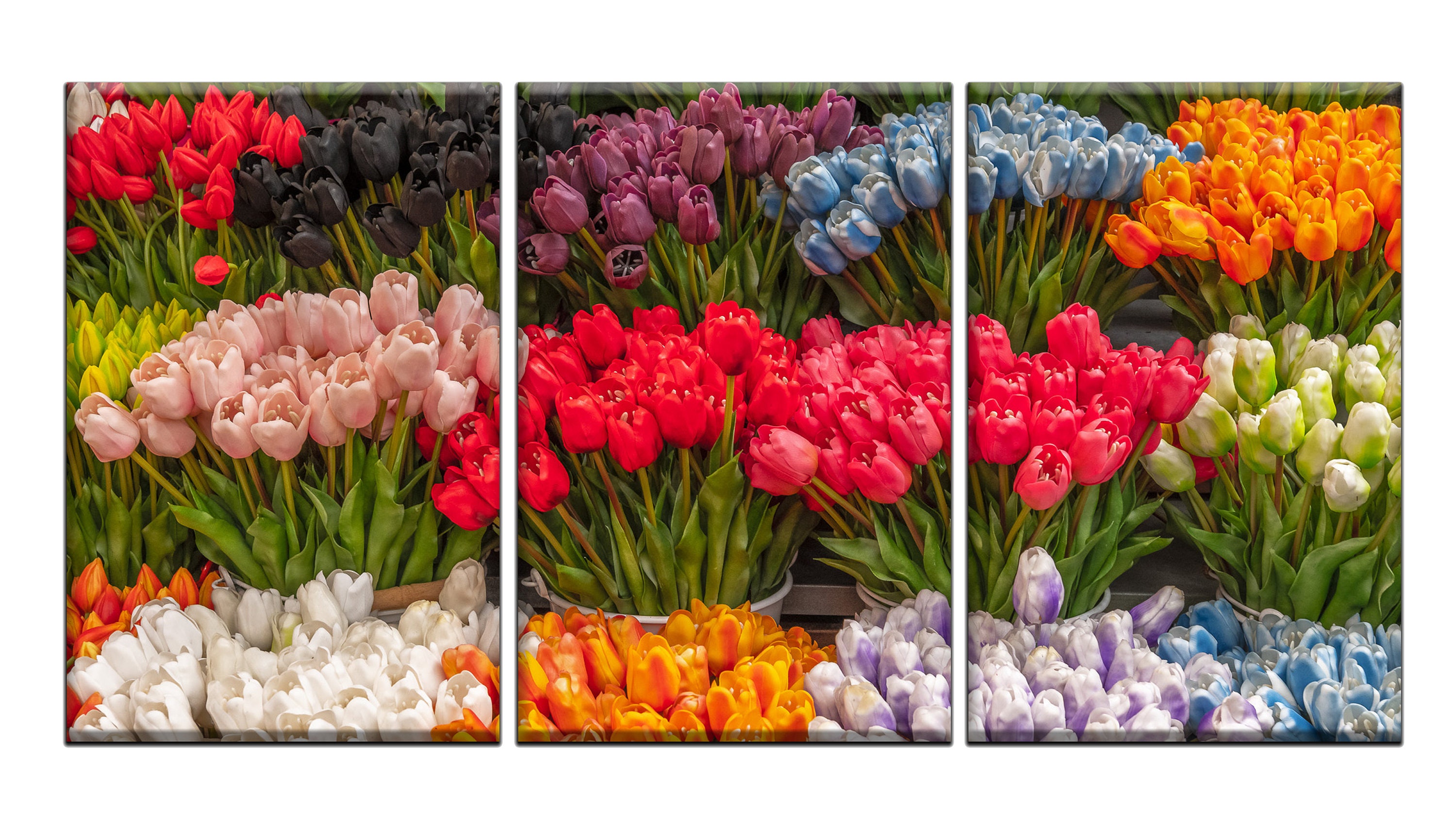 Amsterdam Flower Market Tulips Fine Art Photography Triptych Canvas ...