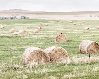 canvas hay bale bolsa