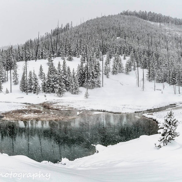 Yellowstone National Park Print Poster Snowy Winter Mountain Pond Pine Trees Scene Montana Wyoming Art Fine Art Photo Canvas or Metal Art