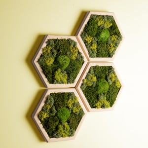 Zeshoekige muur mosdecor, honingraathout en kunst aan de muur mos, bewaarde moskunst ingelijst, wandkleden, huisdecor bruiloft, woonkamerdecor