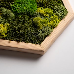 Zeshoekige muur mosdecor, honingraathout en kunst aan de muur mos, bewaarde moskunst ingelijst, wandkleden, huisdecor bruiloft, woonkamerdecor
