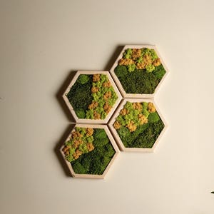 Hexagon Preserved Moss Wall Art, Honeycomb Wall Decor Set, Ball Moss Wall Hangings, Entryway Decor, Framed Wall Art, Gift For Her