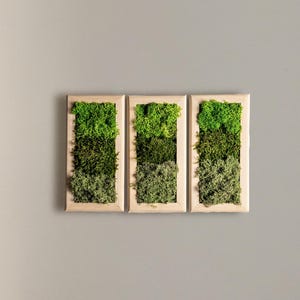 Triptych Minimalist Moss Wall Art, Wooden Frame Green Wall Decor, Modular Plant Art, Mini Kitchen Decor, Gift For New House, Gift For Her