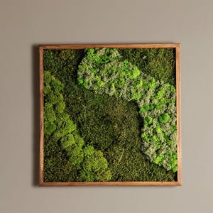 Decorazione murale in muschio quadrato stabilizzato, parete vegetale in licheni e muschio sferico, opera d'arte botanica incorniciata, decorazione in muschio con bordo vivo, decorazione murale unica, regalo per lei