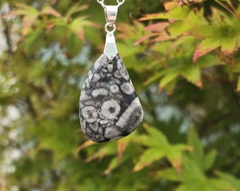 Fossil Stone Cabochon: Lapidary Art