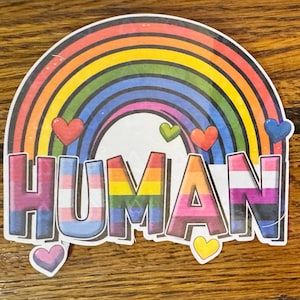 Pride Vinyl Sticker Set – Celebrate Love, Equality and Authenticity - Sage and Stickers