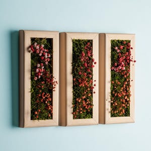 Dried Plant Moss Wall Art, Custom Made Moss Wall Decor, Home Decor, Birthday Gift, Anniversary Gifts, Mini Natural Gift