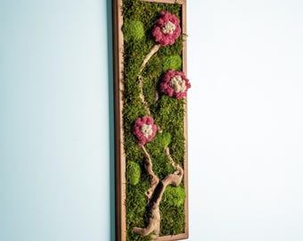 Colorful Moss and Bonsai Wood Wall Decor, Preserved Stabilized Moss Wall Art, New Home Gift, Wall Hanging, Gift For Mother , Office Gifts