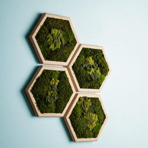 Hexagon Moss Art Wall Decor, Honeycomb Wood Moss Wall Art, Wooden Framed Moss Art, Wedding present, Farmhouse wall decor, Unique Gifts