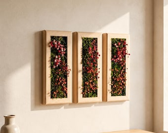 Pode incluir: Três molduras retangulares de parede feitas de madeira clara, cada uma contendo um arranjo vertical de musgo verde e pequenas bagas vermelhas e rosas. As molduras estão posicionadas lado a lado, criando uma exibição coesa de natureza.