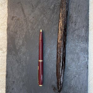 マダガスカル産極太バニラポッド – メキシカンタイプ | 24～27cm | ジューシーで香り高い、グルメグレードA 画像 2