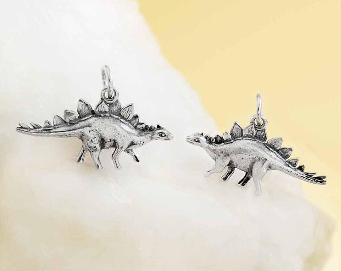 Sterling Silver Stegosaurus Dinosaur Charm 17x24mm