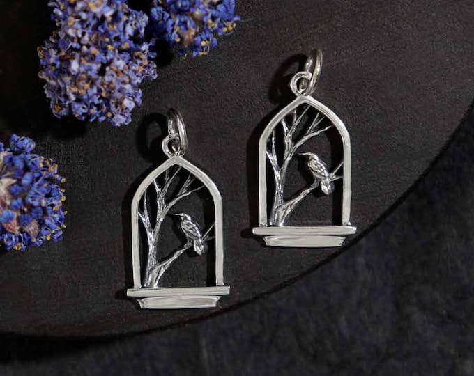 Sterling Silver Raven in Window Charm 22x11mm