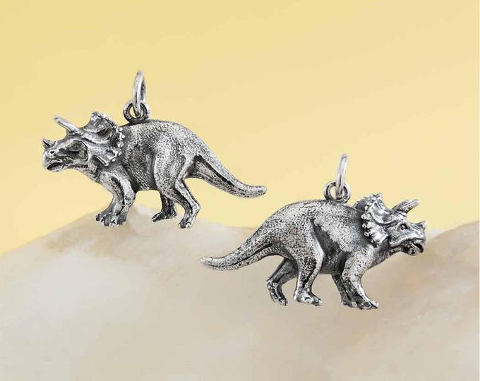 Sterling Silver Triceratops Dinosaur Charm 17x24mm