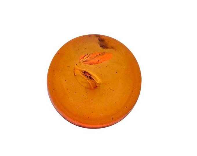 Amber 6mm Round Cabochon
