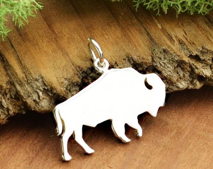 Sterling Silver Buffalo Charm - Stamping Blank 17x21mm