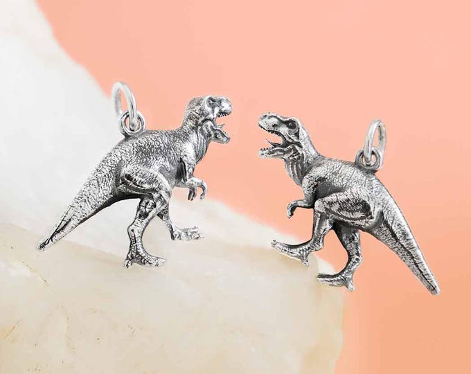 Sterling Silver T-Rex Dinosaur Charm 18x24mm