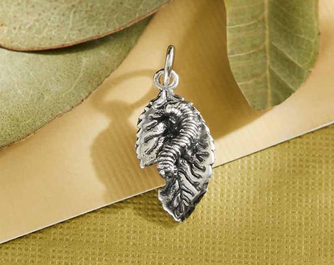 Sterling Silver Caterpillar and Leaf Charm 20x9mm