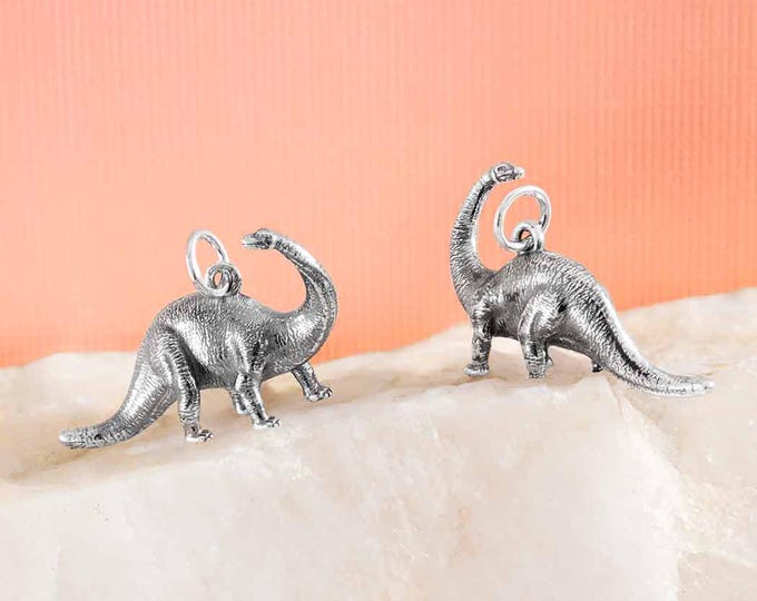 Sterling Silver Brontosaurus Dinosaur Charm