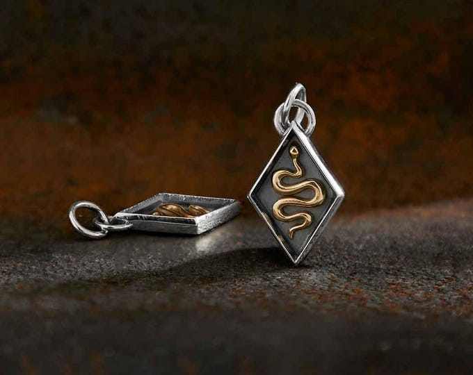 Mixed Metal Snake Shadow Box Charm 21x10mm