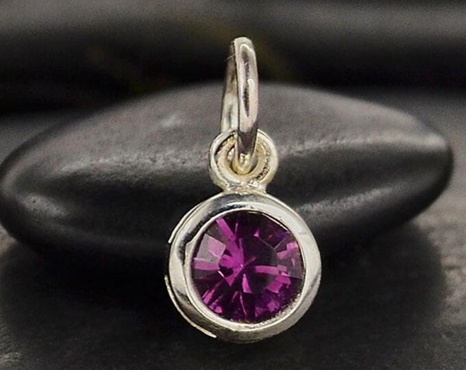 Sterling Silver Crystal Birthstone Charm -February 11x5mm
