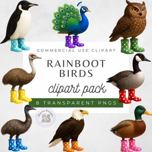 Regen Stiefel Vögel Clipart, Vogelillustrationen, lustige Vögel, niedliche digitale Vögel, lustiges Tier Clipart, wunderliche Vogel Clipart, digitale Vogelaufkleber