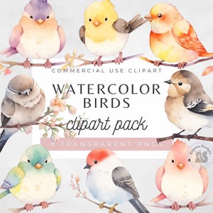 Pacchetto di clipart di uccelli, clipart di acquerelli, uccelli acquerellati, download digitale, illustrazione di uccelli, uccelli carini, uccelli primaverili, download istantaneo