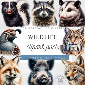Clipart animalier, illustrations de la faune, renard png, scrapbooking, fabrication de cartes, animaux de la forêt, sanglier art numérique, art de la caille, art mouffette