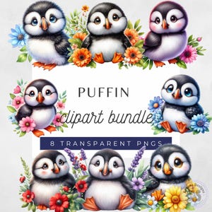 Clipart macareux moine, clipart aquarelle, macareux, clipart Animal, clipart oiseau, macareux moine, oiseau Png, art de la carte, scrapbooking, bébé macareux