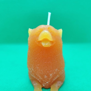 Corgi Candle – Mixed Fruit Scent