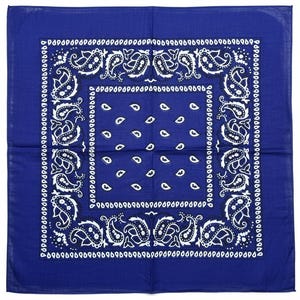May include: A square, royal blue bandana with a white paisley pattern and border. The bandana features a central square with small white teardrop shapes. The border is a repeating pattern of white paisley designs.