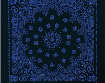 May include: A black bandana with a blue paisley pattern. The bandana has a central design with a circular pattern.