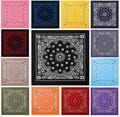 Extra Large Bandanas Men and Women Paisley Trainmen Big 27" Oversized -  All Colors - Black, White, Blue, Red, Green, Pink, Yellow, Gray NEW