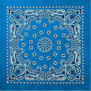 May include: A blue bandana with a white paisley pattern. The bandana has a white border and a white center with a black and white design.