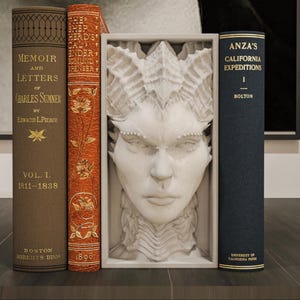Lilith Diablo 4 Book Nook - Fantasy Sci-Fi 3D Printed Bookend Unique Gift Holiday Birthday Special Occasions Decor