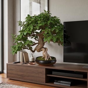 May include: A bonsai tree with green leaves and a twisted trunk sits in a dark, round pot. The tree is on a dark wood cabinet with a television in the background. Other items on the cabinet include books, a vase, and a remote control.