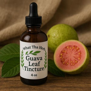 Puede incluir: Una botella de vidrio marrón de tintura de hoja de guayaba con un cuentagotas negro, una etiqueta blanca con texto y hojas verdes y el texto "4 oz". Dos guayabas, una de ellas cortada por la mitad, están en el fondo.