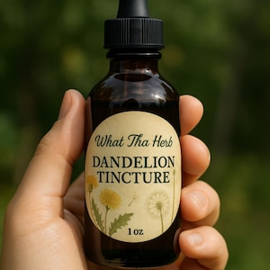 Dandelion Tincture | Wildcrafted Herbal Extract | Small Batch | 1 oz & 2 oz