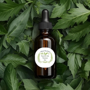 Tree of Life Tincture – Herbal Extract Blend | Amber Glass Dropper Bottle