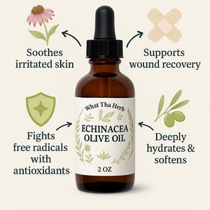 Echinacea Olive Oil – Herbal Skin Support | 2 oz or 4 oz Dropper Bottle