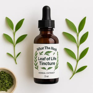 May include: A brown glass tincture bottle with a black dropper, labeled "What Tha Herb Leaf of Life Tincture." The label includes green leaf illustrations and the words "Herbal Extract" and "2 oz." Green leaves and a small bowl of herbs surround the bottle.